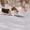 ruhpolding03 132.jpg